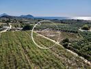 Αγροτεμάχια 40.292τ.μ. για πώληση-Νέστορας » Ρωμανός
