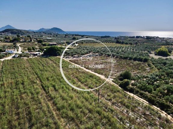 Αγροτεμάχια 40.292 τ.μ. για πώληση, Μεσσηνία, Νέστορας