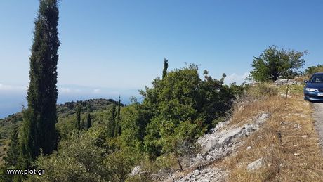 Αγροτεμάχια 7.500 τ.μ. για πώληση