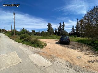 Οικόπεδο 2.000 τ.μ. για πώληση, Αργολίδα, Κρανίδι-thumb-23