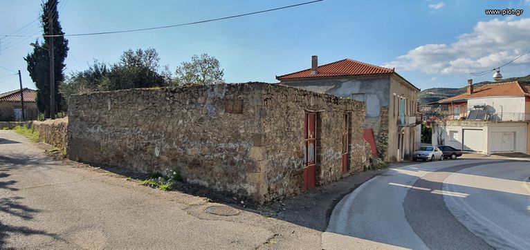 Μονοκατοικία 220 τ.μ. για πώληση, Ν. Ηλείας, Αρχαία Ολυμπία