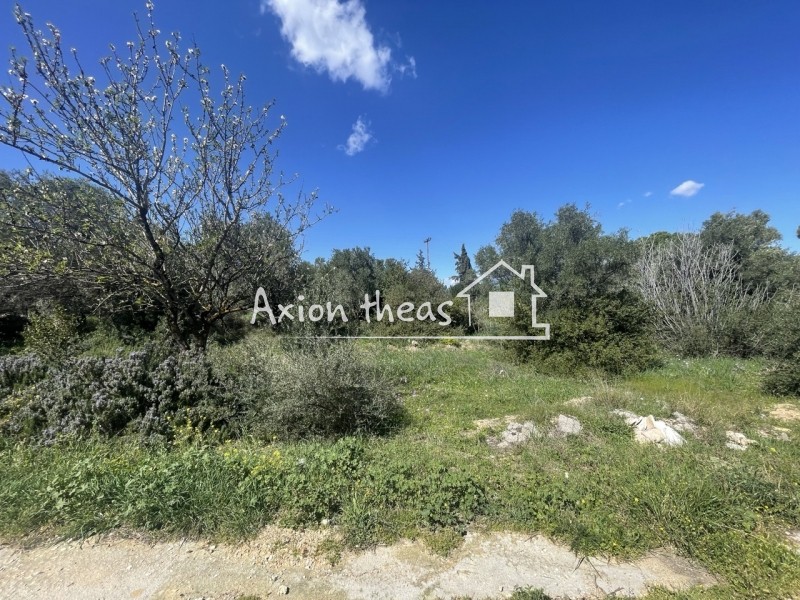 Οικόπεδο 915 τ.μ. πρός πώληση, Αθήνα - Ανατολικά Προάστια, Παλλήνη