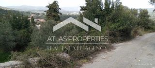 Οικόπεδο 1.300 τ.μ. για πώληση, Ν. Χανίων, Φρέ-thumb-3
