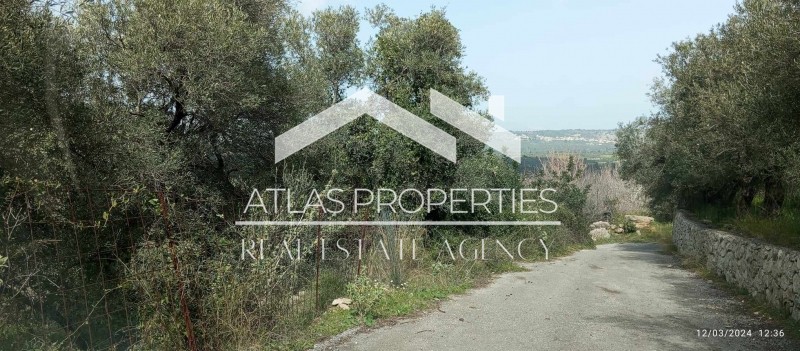 Οικόπεδο 1.300 τ.μ. προς πώληση, Τζιτζιφές