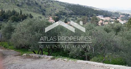 Land plot 1.300sqm for sale-Fre » Tzitzifes