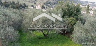 Οικόπεδο 1.300 τ.μ. για πώληση, Ν. Χανίων, Φρέ-thumb-6
