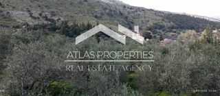 Οικόπεδο 1.300 τ.μ. για πώληση, Ν. Χανίων, Φρέ-thumb-2