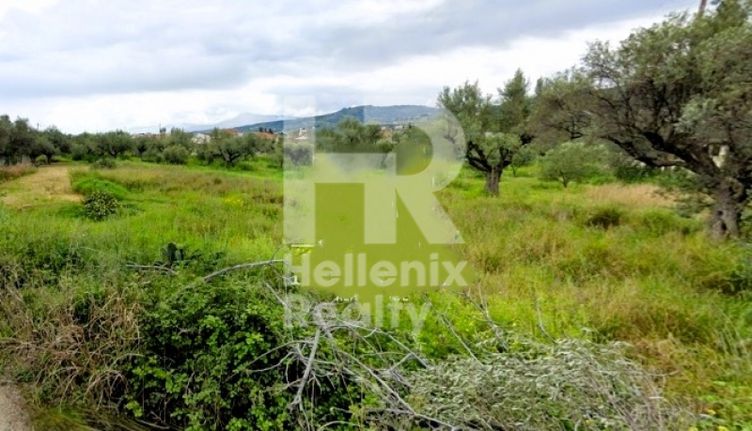 Land plot 1.010 sqm for sale, Achaia, Egialia