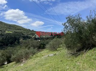 Αγροτεμάχια 4.100 τ.μ. για πώληση, Ν. Κέρκυρας, Κέρκυρα-thumb-16
