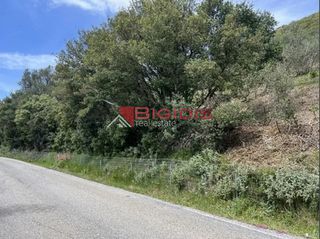 Αγροτεμάχια 4.100 τ.μ. για πώληση, Ν. Κέρκυρας, Κέρκυρα-thumb-17