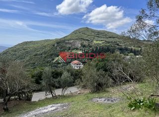 Αγροτεμάχια 4.100 τ.μ. για πώληση, Ν. Κέρκυρας, Κέρκυρα-thumb-10