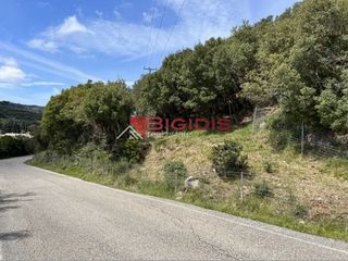 Αγροτεμάχια 4.100 τ.μ. για πώληση, Ν. Κέρκυρας, Κέρκυρα-thumb-2