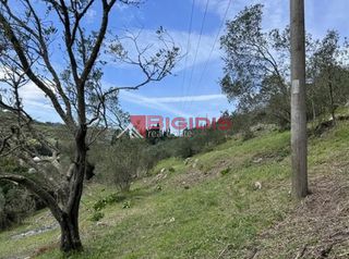 Αγροτεμάχια 4.100 τ.μ. για πώληση, Ν. Κέρκυρας, Κέρκυρα-thumb-13
