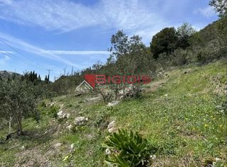 Αγροτεμάχια 4.100 τ.μ. για πώληση, Ν. Κέρκυρας, Κέρκυρα-thumb-18