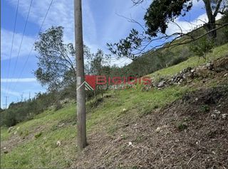 Αγροτεμάχια 4.100 τ.μ. για πώληση, Ν. Κέρκυρας, Κέρκυρα-thumb-4