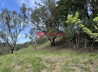 Αγροτεμάχια 4.100 τ.μ. για πώληση, Ν. Κέρκυρας, Κέρκυρα-thumb-3