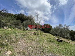 Αγροτεμάχια 4.100 τ.μ. για πώληση, Ν. Κέρκυρας, Κέρκυρα-thumb-15