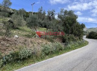 Αγροτεμάχια 4.100 τ.μ. για πώληση, Ν. Κέρκυρας, Κέρκυρα-thumb-19
