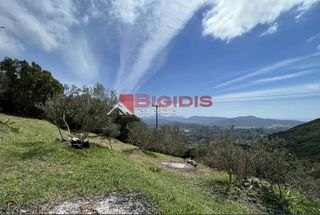 Αγροτεμάχια 4.100 τ.μ. για πώληση, Ν. Κέρκυρας, Κέρκυρα-thumb-20