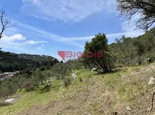 Αγροτεμάχια 4.100 τ.μ. για πώληση, Ν. Κέρκυρας, Κέρκυρα-thumb-8