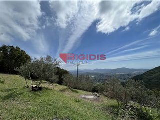 Αγροτεμάχια 4.100 τ.μ. για πώληση, Ν. Κέρκυρας, Κέρκυρα-thumb-21