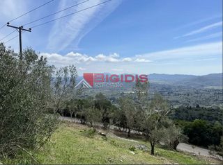 Αγροτεμάχια 4.100 τ.μ. για πώληση, Ν. Κέρκυρας, Κέρκυρα-thumb-23