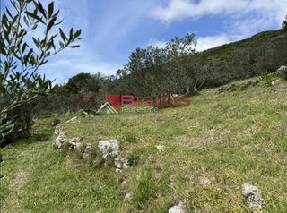 Αγροτεμάχια 4.100 τ.μ. για πώληση, Ν. Κέρκυρας, Κέρκυρα-thumb-11