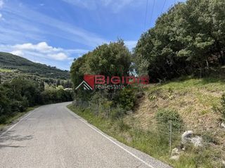 Αγροτεμάχια 4.100 τ.μ. για πώληση, Ν. Κέρκυρας, Κέρκυρα-thumb-9