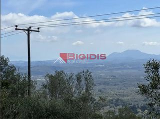 Αγροτεμάχια 4.100 τ.μ. για πώληση, Ν. Κέρκυρας, Κέρκυρα-thumb-14