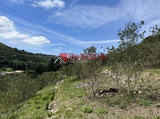 Αγροτεμάχια 4.100 τ.μ. για πώληση, Ν. Κέρκυρας, Κέρκυρα-thumb-7