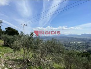 Αγροτεμάχια 4.100 τ.μ. για πώληση, Ν. Κέρκυρας, Κέρκυρα-thumb-5