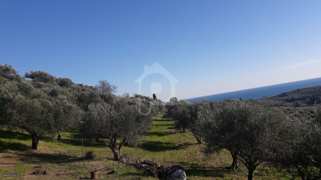 Οικόπεδο 4.300 τ.μ. προς πώληση, Ασίνη Κορώνης