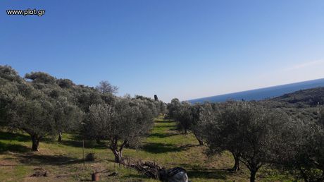 Οικόπεδο 4.300 τ.μ. προς πώληση