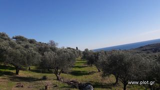 Οικόπεδο 4.300 τ.μ. για πώληση