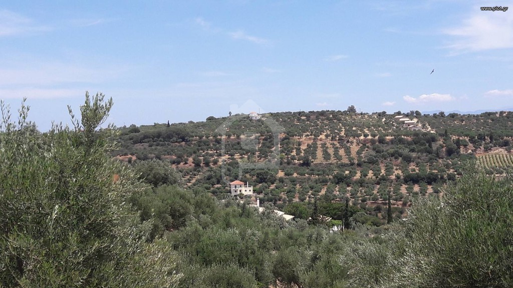 Οικόπεδο 4.300 τ.μ. προς πώληση, Ασίνη Κορώνης