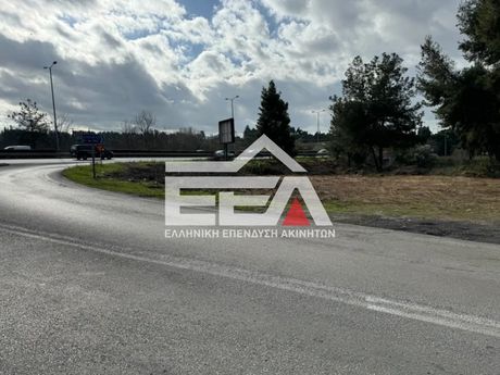 Οικόπεδο 1.480τ.μ. για πώληση-Πυλαία » Πουρνάρι