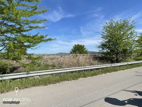 Parcel 8.000sqm for sale-Pylea » Mediterranean Cosmos