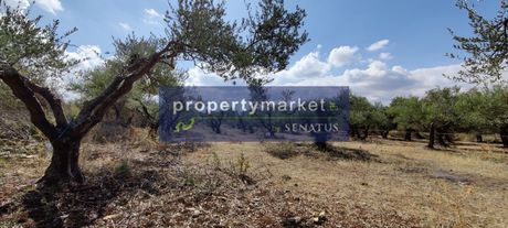 Land plot 3.000sqm for sale-Vamos » Gavalochori