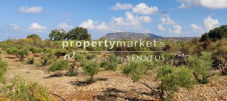 Οικόπεδο 3.000 τ.μ. για πώληση