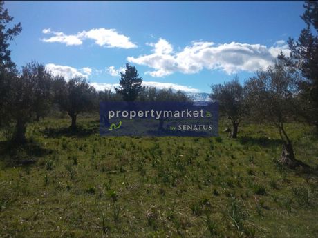 Land plot 4.556sqm for sale-Vamos » Xirosterni