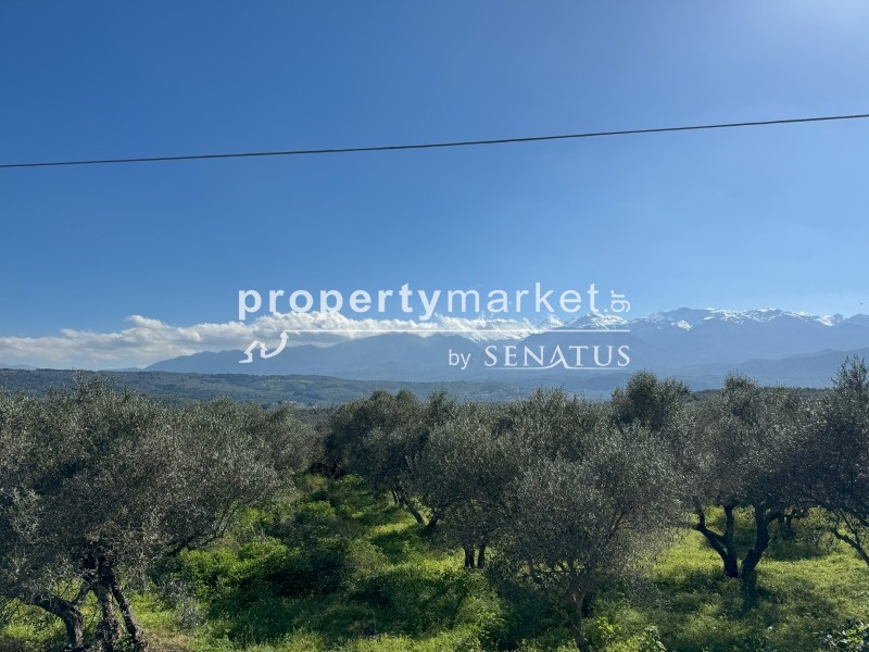 Αγροτεμάχια 1.636 τ.μ. προς πώληση, Καλύβες Αρμενών
