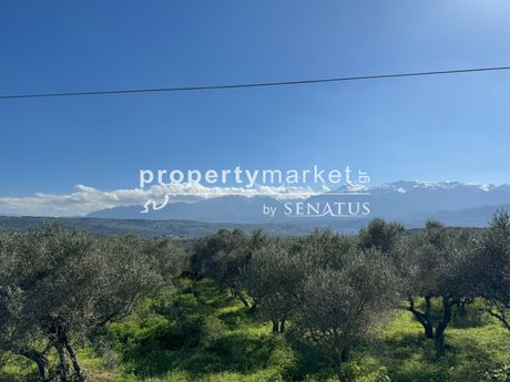 Αγροτεμάχια 1.636 τ.μ. για πώληση