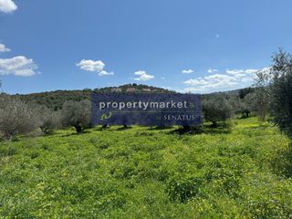 Οικόπεδο 3.859 τ.μ. για πώληση, Ν. Χανίων, Αρμενοί-thumb-1