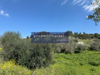 Οικόπεδο 3.859 τ.μ. για πώληση, Ν. Χανίων, Αρμενοί-thumb-3