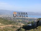 Land plot 1.020sqm for sale-Nea Makri