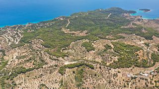 Αγροτεμάχια 31.000 τ.μ. για πώληση, Αργολίδα, Κρανίδι-thumb-22