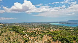 Αγροτεμάχια 31.000 τ.μ. για πώληση, Αργολίδα, Κρανίδι-thumb-11