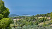 Αγροτεμάχια 31.000τ.μ. για πώληση-Κρανίδι » Οικισμός δικηγόρων