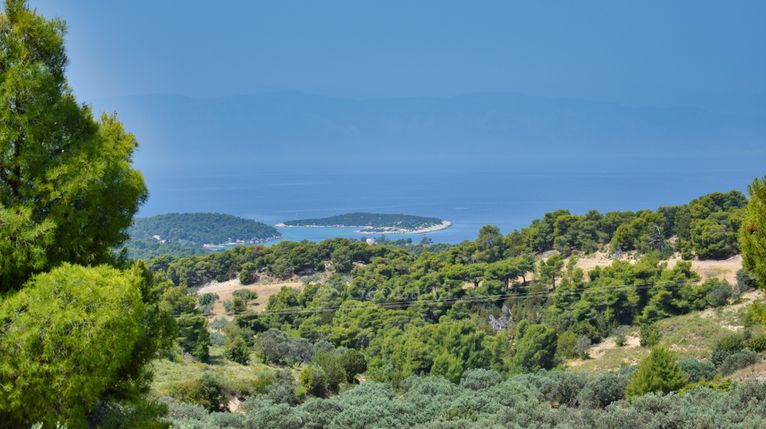 Αγροτεμάχια 31.000 τ.μ. για πώληση, Αργολίδα, Κρανίδι