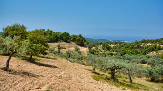 Αγροτεμάχια 31.000 τ.μ. για πώληση, Αργολίδα, Κρανίδι-thumb-10